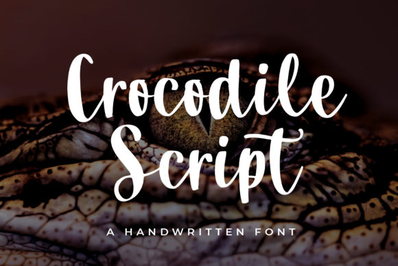 Crocodile Script: A Font That Breathes Life into Your Ideas