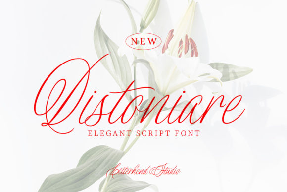 Distoniare Script: A Natural Signature for Modern Brands