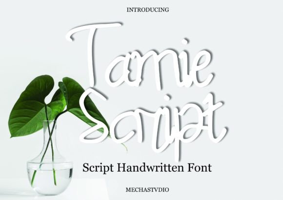 Tamie Script: A Friendly Face for Your Next Design Project