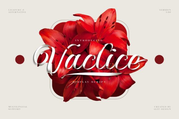 Vaclice Script: A Creative Font for Modern Branding