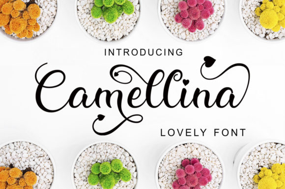 Why Camellina Script Feels Like a Handwritten Secret Weapon